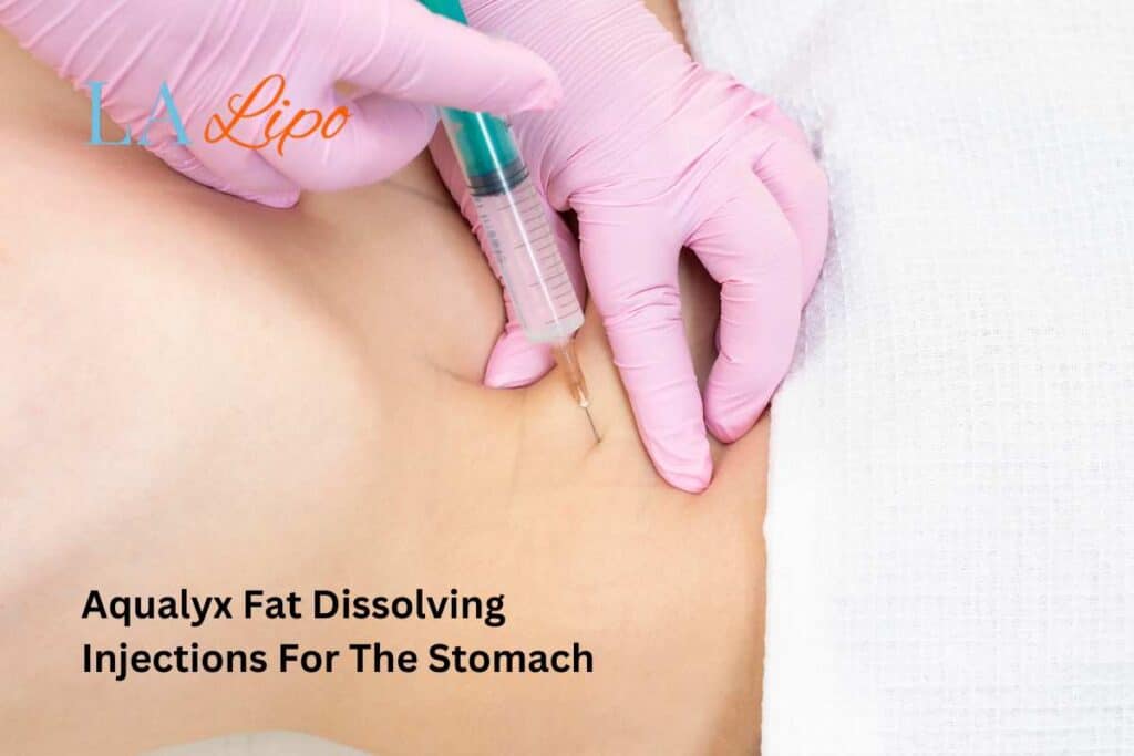 stomach