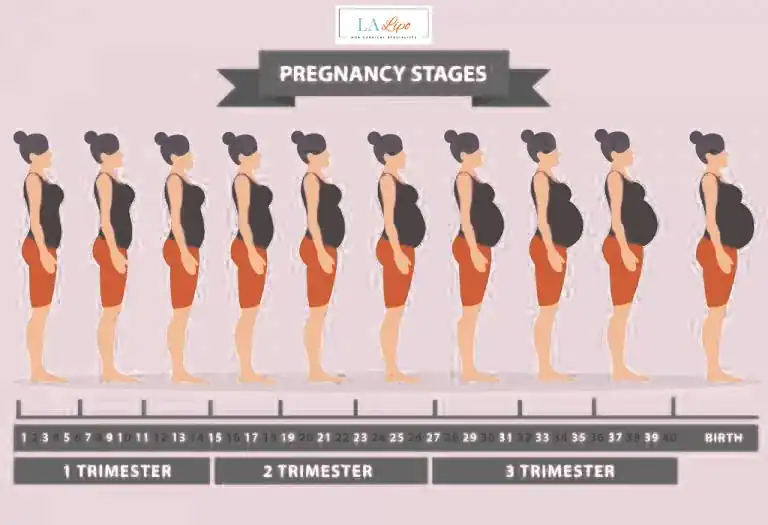 First Trimester (Weeks 1–12): Early Changes You Might Not Notice Bexley
